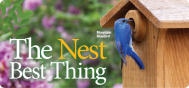 Promo Nesting Sale 1803P