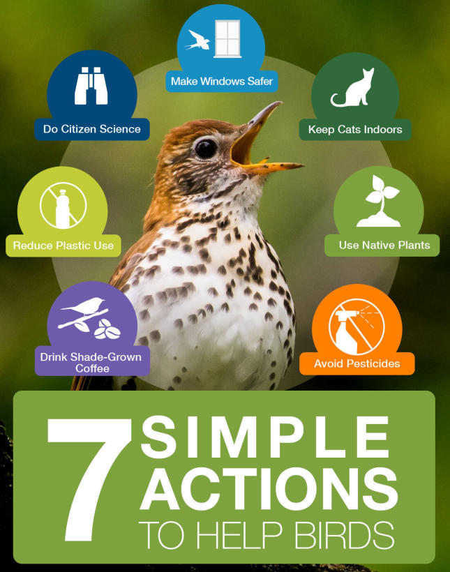 Seven Simple Acts