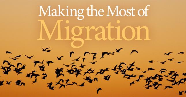 Autumn Migration
