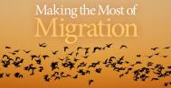 Autumn Migration 2020