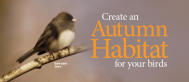 Autumn Habitat