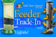Feeder Trade-In 2024