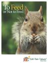 Squirrel to feed or not