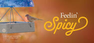 PROMO Hot Pepper Foods 2509P