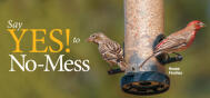 Promo No-Mess 1601P