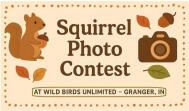 Squirrel Photo Contest horizontal