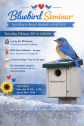 BlueBird Seminar 2026