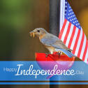 Independence Day 2026