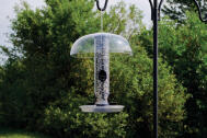 Tube with Tray & Dome
